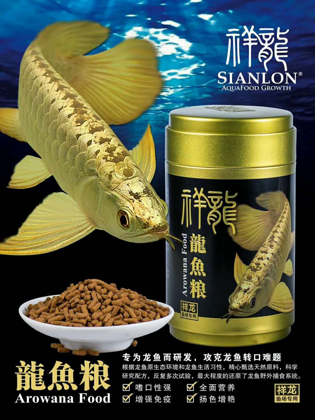 Bera Golden dragon fish food