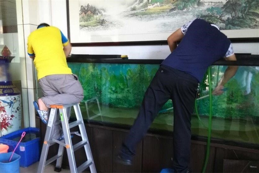 Bera Fish tank cleaning and maintenance